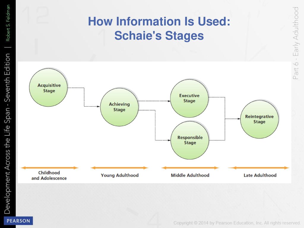 Executive stage of cognitive development hotsell